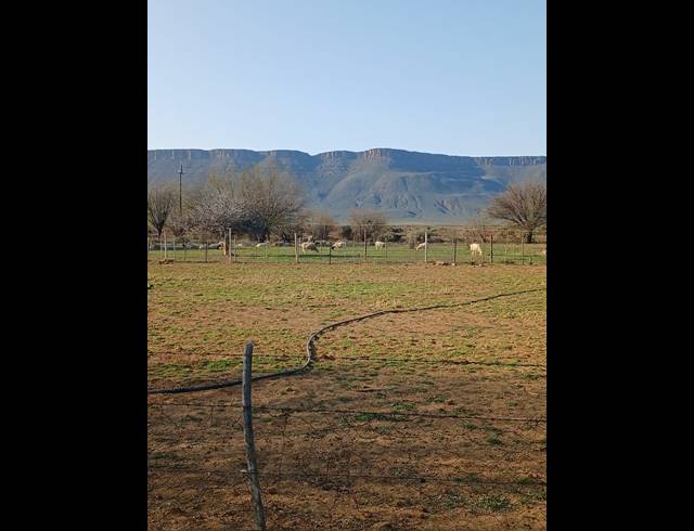 1.60HA SMALLHOLDING FOR SALE IN CALVINIA RURAL